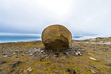 Giant stone sphere, Champ Island, Franz Josef Land archipelago, Russia, Europe