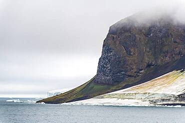 Massive bird cliff, Champ Island, Franz Josef Land archipelago, Russia, Europe