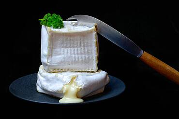 French soft cheese, Pave d'Affinois, with cheese knife