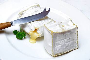 French soft cheese, Pave d'Affinois, with cheese knife