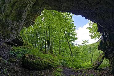 View from grotto, cave in deciduous forest, near Leidingshof, district of Markt Heiligenstadt, Franconian Switzerland, Upper Franconia, Franconia, Bavaria, Germany, Europe