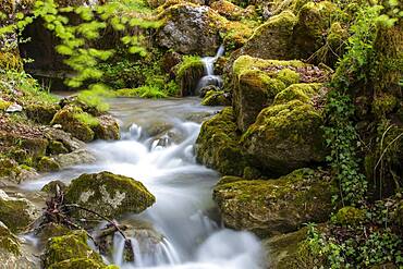 Gorge de Perrefitte, small gorge, brook Chaliere, Perrefitte, Bernese Jura, Bern, Switzerland, Europe