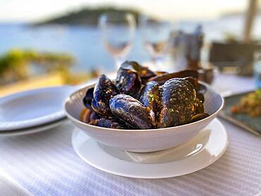 Mytilus (Mytilus) with tomato sauce and garlic in the evening sun by the sea, Majorca, Spain, Europe