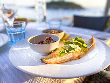 Grilled turbot fillet with side dishes, Port Andratx, Majorca, Spain, Europe