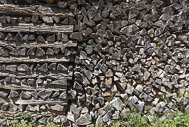 Stacked logs, Bavaria Germany