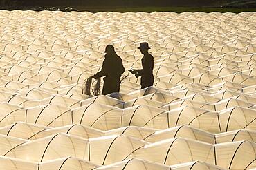 Vegetable gardening under foil, Furano, Hokkaido, Japan, Asia