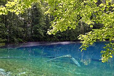 Mountain lake, Christlessee, clouds of mist drift over the clear turquoise water, tree trunks at the bottom of the lake, Trettachtal, Allgaeu Alps, Allgaeu, Bavaria, Germany, Europe