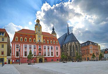 City Hall and St. Mary's Church, Market Square, Weissenfels, Saxony-Anhalt, Germany, Europe