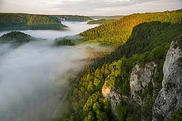 View from Eichfelsen with morning fog, sunrise, near Irndorf, Upper Danube nature Park, Upper Danube Valley, Danube, Swabian Alb, Baden-Wuerttemberg, Germany, Europe