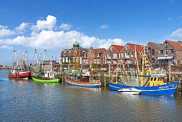 Crab cutter in the fishing harbour, Neuharlingersiel, Lower Saxony, Germany, Europe