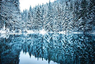 Lake in coniferous forest with snow, Pfanntalsteich, Thuringian Forest, Thuringia, Germany, Europe