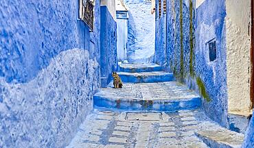 Streets and colored houses, View from the city street where all buildings are painted only in blue, the neighborhoods painted in vivid blue colors Cali, Colombia, South America