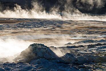 Backlight, Rising Steam, Fumarole, Namafjall, Myvatn or Myvatn, Krafla Volcano System, Northern Iceland, Iceland, Europe