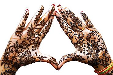 Hand of Hindu bride painted with hennas isolated on white background, Mauritius, Africa