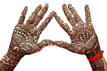 Indian Bride's hand painted with mehndi isolated on white background. Mauritius, Africa