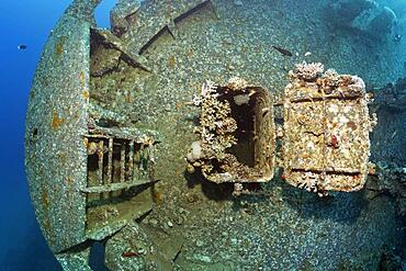 Entrance covered with stony corals (Scleractinia) at the bow of the Cedar Pride, shipwreck, wreck, Red Sea, Aqaba, Jordan, Asia