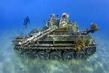 Diver, American tank M42 Duster with self-rotating 40mm anti-aircraft gun, wreck, Red Sea, Aqaba, Kingdom of Jordan