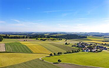 Drone image, agricultural landscape, agricultural fields with farms near Waldzell, Innviertel, Upper Austria, Austria, Europe