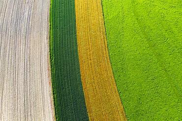 Drone image, agricultural landscape, agricultural fields and meadows near Waldzell, Innviertel, Upper Austria, Austria, Europe
