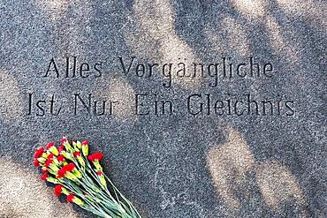 Inscription, quotation from Goethe on stone slab, Everything transient is only a parable, red carnations, grave of Kurt Tucholsky, Mariefred cemetery, Straengnaes, Soedermanlands laen, Sweden, Europe