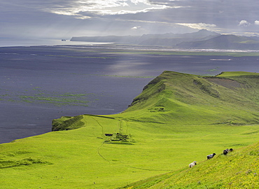 Old farmstead at Hjoerleifshoefdi (Viking grave), Myrdalur, Suourland, Iceland, Europe