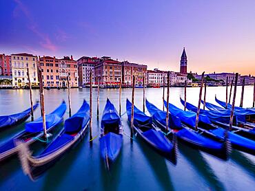 Gondolas on the Grand Canal at dawn, the Doge's Palace and the Campanile bell tower in the background, Venice, Venezia, Veneto, Italy, Europe