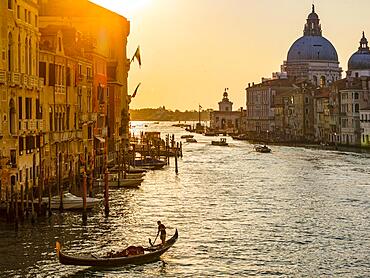 Gondoliers in the Grand Canal at sunrise, with the church of Santa Maria della Salute in the background, Venice, Venezia, Veneto, Italy, Europe