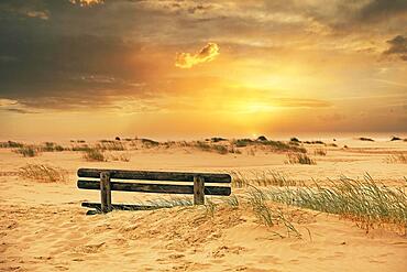 Wooden bench in the dunes at sunset, Amrum, Schleswig-Holstein, Germany, Europe