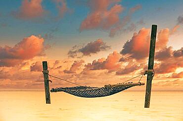 Hammock in the sunset at the North Sea, Amrum, Germany, Europe