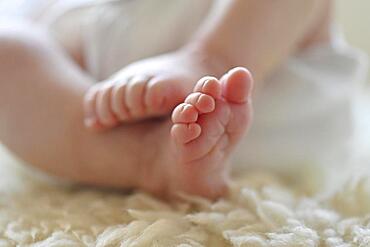 Baby feet, infant, girl, 10 days, Stuttgart, Baden-Wuerttemberg, Germany, Europe