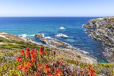 Beautiful landscape and seascape in Zambujeira Do Mar, Vicentina Coast Natural Park, Alentejo, Portugal, Europe