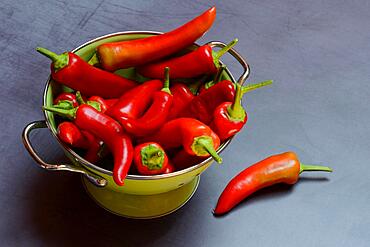 Red peppers in sieve, Germany, Europe