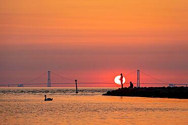 Silhouette of two men fishing with the Great Belt Bridge in the background, Denmark, Europe