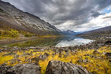 Mountains reflected in a lake, Medicine Lake, autumnal yellow meadow on the shore, Maligne Valley, Jasper National Park, Alberta, Canada, North America