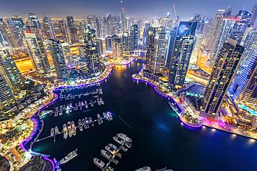 Dubai Marina Harbour Skyline Architecture Holiday Overview by Night in Dubai, United Arab Emirates, Asia