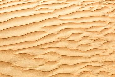 Desert Sand in Dubai, United Arab Emirates, Asia