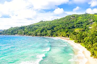 Takamaka Beach with Palm Trees Sea Ocean Drone Shot in Mahe, Seychelles, Africa