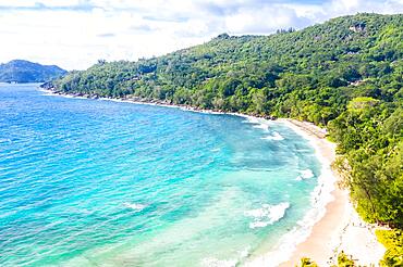 Takamaka Beach with Palm Trees Sea Ocean Drone Shot in Mahe, Seychelles, Africa