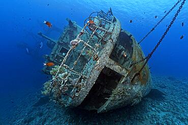 Cedar Pride, Stern, Wreck, Shipwreck, Red Sea, Aqaba, Jordan, Asia