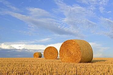 Grain field, stubble field with round bales of straw, blue cloudy sky, North Rhine-Westphalia, Germany, Europe