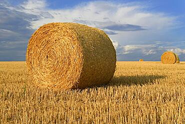 Grain field, stubble field with round bales of straw, dramatic cloudy sky, North Rhine-Westphalia, Germany, Europe