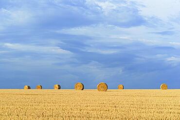 Grain field, stubble field with round bales of straw, blue cloudy sky, North Rhine-Westphalia, Germany, Europe