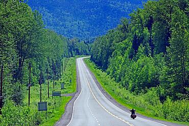 Motorcyclist on endless highway without traffic, Trans Canada Highway, British Columbia, Canada, North America