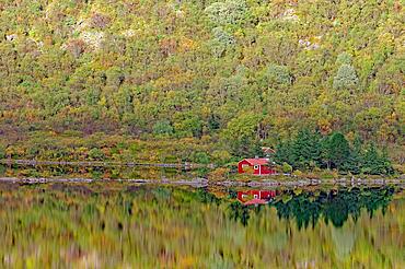 Red wooden hut reflected in a lake, autumn, Vestvagoy, Lofoten, Nordland, Norway, Europe