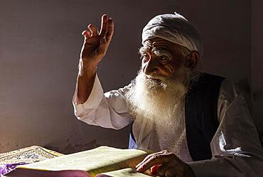 Sufi priest studying the holy Quran in the Shrine of Mawlana Abdur Rahman Jami, Herat's greatest 15th century poet, Herat, Afghanistan, Asia