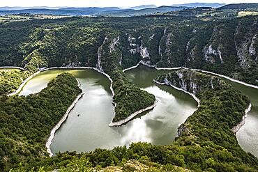 Uvac river meandering through the mountains, Uvac Special Nature Reserve, Serbia, Europe