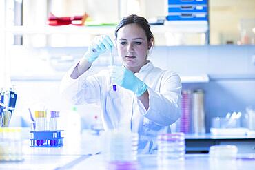 Lab technician pipetting a sample in the lab, Freiburg, Baden-Wuerttemberg, Germany, Europe