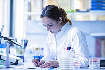 Lab technician with sample in petri dish works in a lab with lab equipment and writes protocol, Freiburg, Baden-Wuerttemberg, Germany, Europe