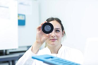 Lab technician with sample in petri dish working in a lab with lab equipment, Freiburg, Baden-Wuerttemberg, Germany, Europe