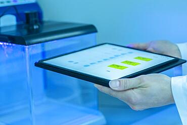 Result of a laboratory examination, chromatography in the hand of a chemist in the laboratory, food control examination, Freiburg, Baden-Wuerttemberg, Germany, Europe